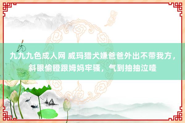 九九九色成人网 威玛猎犬嫌爸爸外出不带我方，斜眼偷瞪跟姆妈牢骚，气到抽抽泣噎