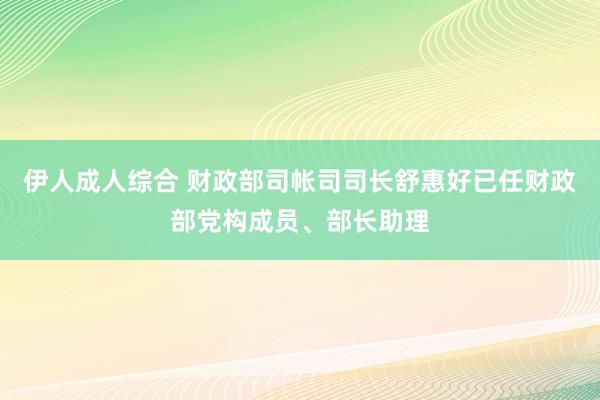 伊人成人综合 财政部司帐司司长舒惠好已任财政部党构成员、部长助理