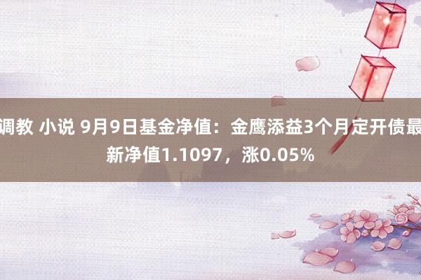 调教 小说 9月9日基金净值：金鹰添益3个月定开债最新净值1.1097，涨0.05%