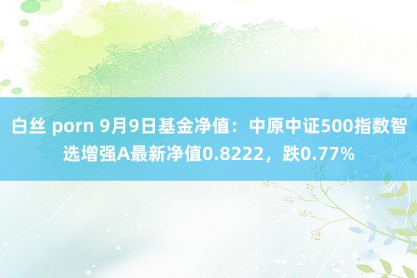 白丝 porn 9月9日基金净值：中原中证500指数智选增强A最新净值0.8222，跌0.77%