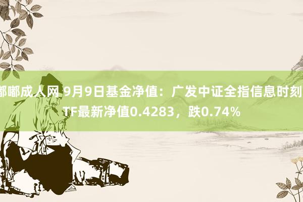 嘟嘟成人网 9月9日基金净值：广发中证全指信息时刻ETF最新净值0.4283，跌0.74%