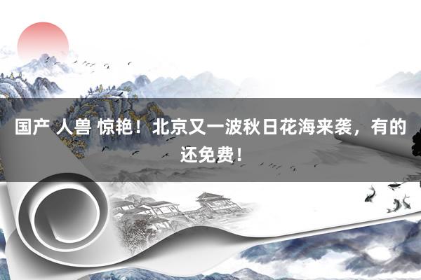 国产 人兽 惊艳！北京又一波秋日花海来袭，有的还免费！