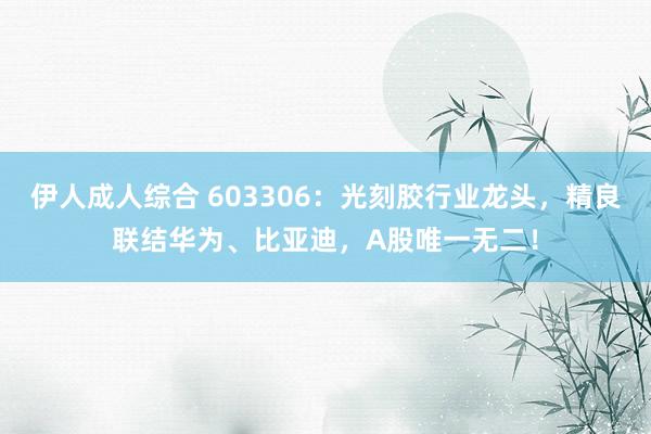 伊人成人综合 603306：光刻胶行业龙头，精良联结华为、比亚迪，A股唯一无二！