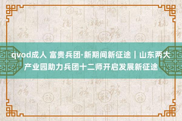 qvod成人 富贵兵团·新期间新征途｜山东两大产业园助力兵团十二师开启发展新征途