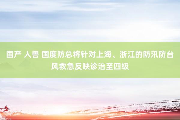 国产 人兽 国度防总将针对上海、浙江的防汛防台风救急反映诊治至四级