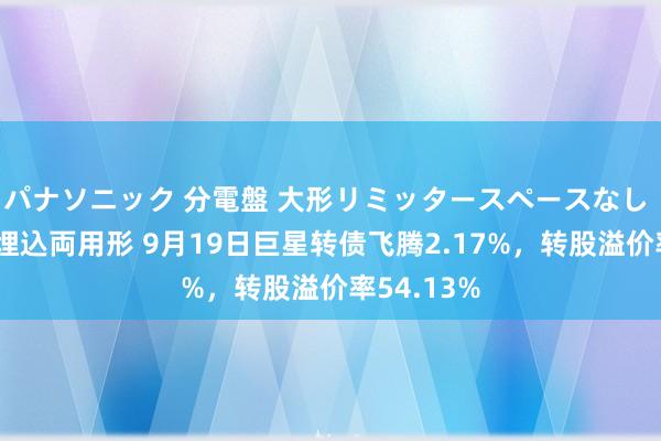 パナソニック 分電盤 大形リミッタースペースなし 露出・半埋込両用形 9月19日巨星转债飞腾2.17%，转股溢价率54.13%