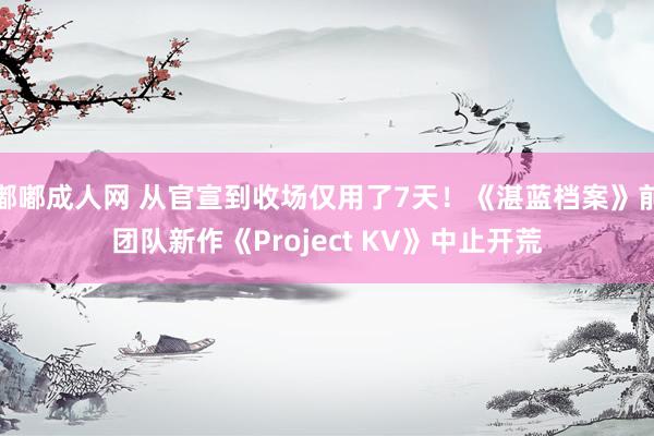 嘟嘟成人网 从官宣到收场仅用了7天！《湛蓝档案》前团队新作《Project KV》中止开荒