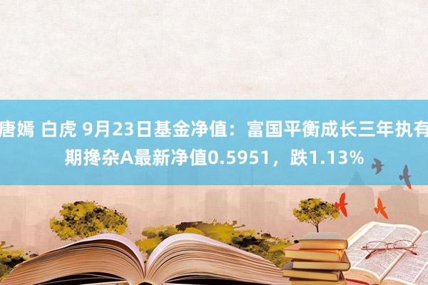 唐嫣 白虎 9月23日基金净值：富国平衡成长三年执有期搀杂A最新净值0.5951，跌1.13%