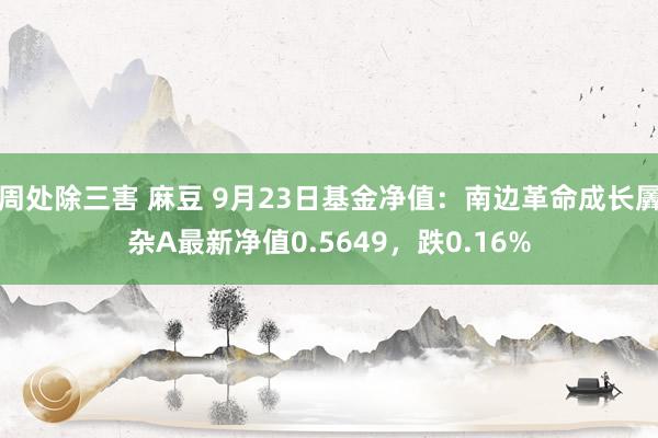 周处除三害 麻豆 9月23日基金净值：南边革命成长羼杂A最新净值0.5649，跌0.16%