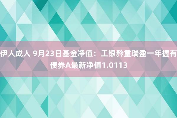 伊人成人 9月23日基金净值：工银矜重瑞盈一年握有债券A最新净值1.0113