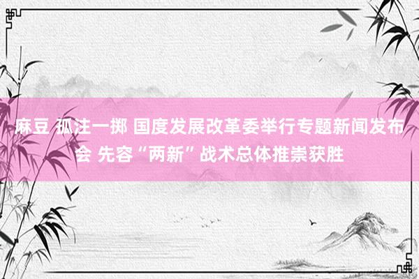 麻豆 孤注一掷 国度发展改革委举行专题新闻发布会 先容“两新”战术总体推崇获胜