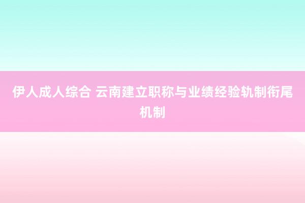 伊人成人综合 云南建立职称与业绩经验轨制衔尾机制