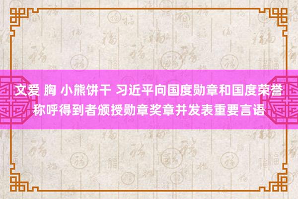 文爱 胸 小熊饼干 习近平向国度勋章和国度荣誉称呼得到者颁授勋章奖章并发表重要言语