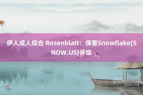 伊人成人综合 Rosenblatt：保管Snowflake(SNOW.US)评级