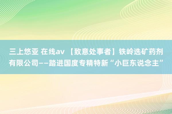 三上悠亚 在线av 【致意处事者】铁岭选矿药剂有限公司——踏进国度专精特新“小巨东说念主”