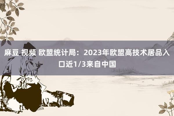 麻豆 视频 欧盟统计局：2023年欧盟高技术居品入口近1/3来自中国