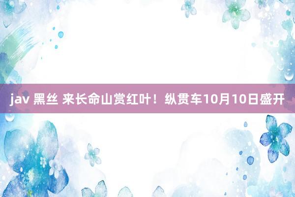 jav 黑丝 来长命山赏红叶！纵贯车10月10日盛开