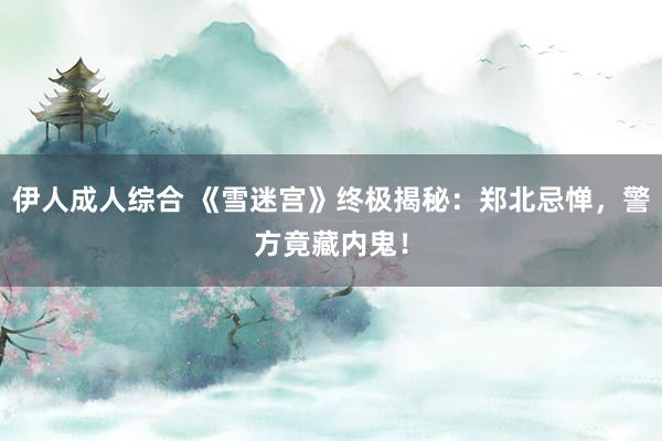 伊人成人综合 《雪迷宫》终极揭秘：郑北忌惮，警方竟藏内鬼！