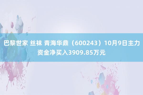 巴黎世家 丝袜 青海华鼎（600243）10月9日主力资金净买入3909.85万元