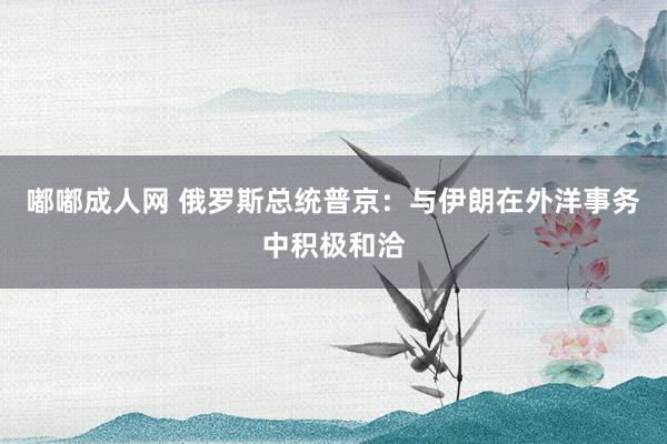 嘟嘟成人网 俄罗斯总统普京：与伊朗在外洋事务中积极和洽