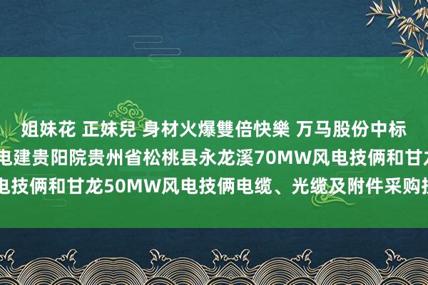 姐妹花 正妹兒 身材火爆雙倍快樂 万马股份中标效果：【设立类】中国电建贵阳院贵州省松桃县永龙溪70MW风电技俩和甘龙50MW风电技俩电缆、光缆及附件采购技俩成交公示