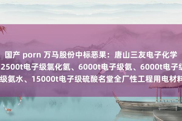 国产 porn 万马股份中标恶果：唐山三友电子化学品有限包袱公司年产2500t电子级氯化氢、6000t电子级氨、6000t电子级氨水、15000t电子级硫酸名堂全厂性工程用电材料增采采购中标恶果公示