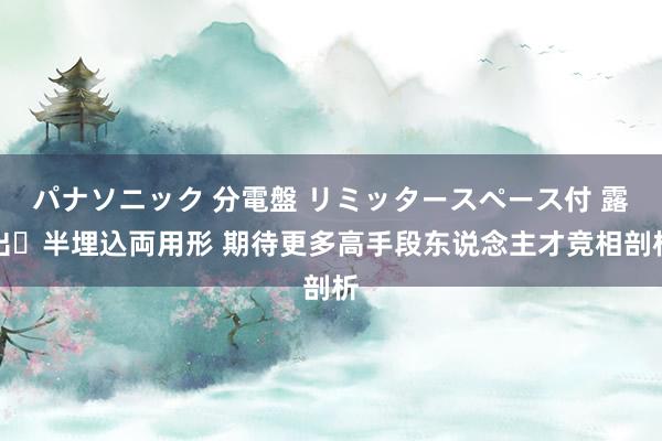 パナソニック 分電盤 リミッタースペース付 露出・半埋込両用形 期待更多高手段东说念主才竞相剖析