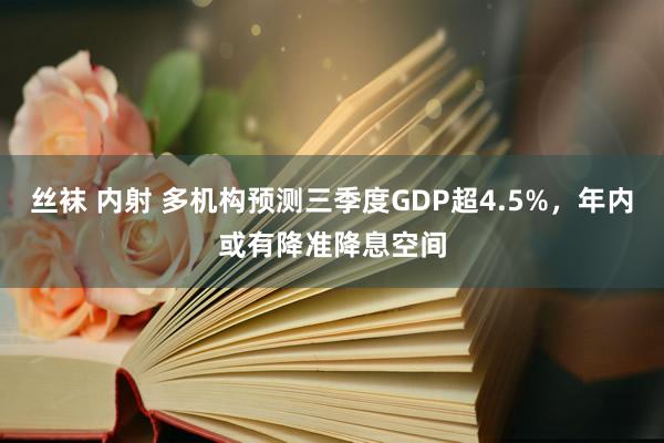 丝袜 内射 多机构预测三季度GDP超4.5%，年内或有降准降息空间