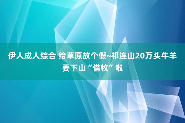 伊人成人综合 给草原放个假~祁连山20万头牛羊要下山“借牧”啦