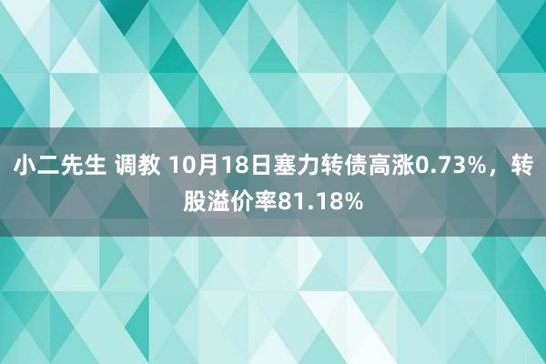 小二先生 调教 10月18日塞力转债高涨0.73%，转股溢价率81.18%