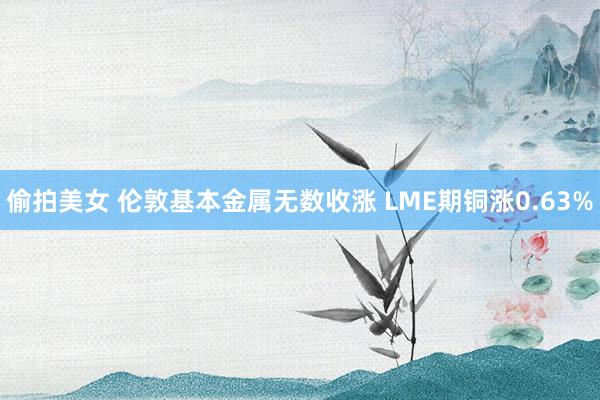 偷拍美女 伦敦基本金属无数收涨 LME期铜涨0.63%