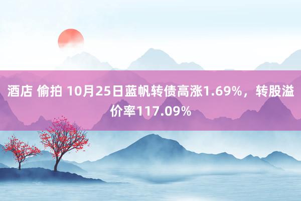 酒店 偷拍 10月25日蓝帆转债高涨1.69%，转股溢价率117.09%