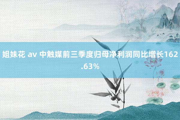 姐妹花 av 中触媒前三季度归母净利润同比增长162.63%