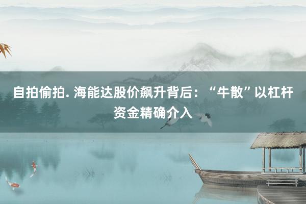 自拍偷拍. 海能达股价飙升背后：“牛散”以杠杆资金精确介入