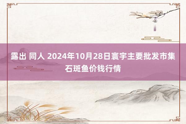 露出 同人 2024年10月28日寰宇主要批发市集石斑鱼价钱行情