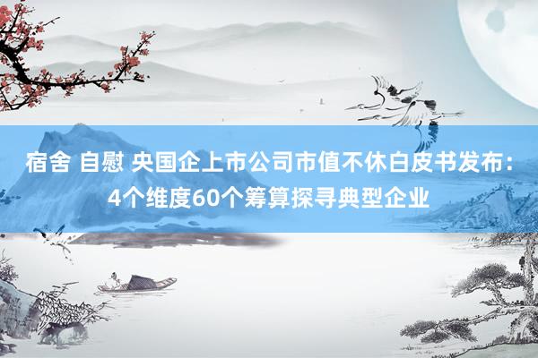 宿舍 自慰 央国企上市公司市值不休白皮书发布：4个维度60个筹算探寻典型企业