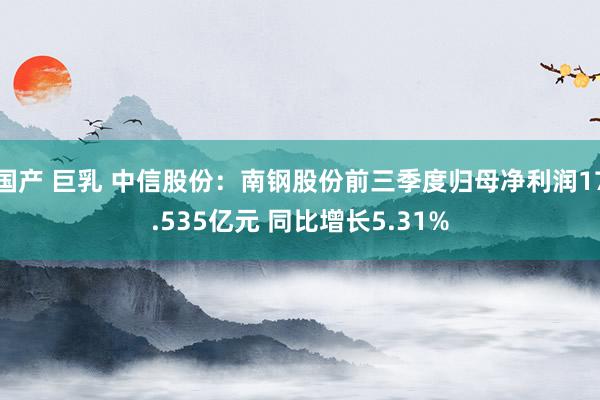 国产 巨乳 中信股份：南钢股份前三季度归母净利润17.535亿元 同比增长5.31%