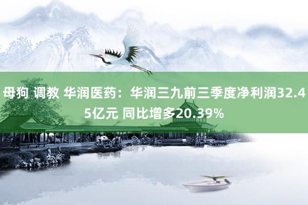 母狗 调教 华润医药：华润三九前三季度净利润32.45亿元 同比增多20.39%