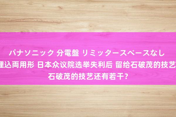 パナソニック 分電盤 リミッタースペースなし 露出・半埋込両用形 日本众议院选举失利后 留给石破茂的技艺还有若干？