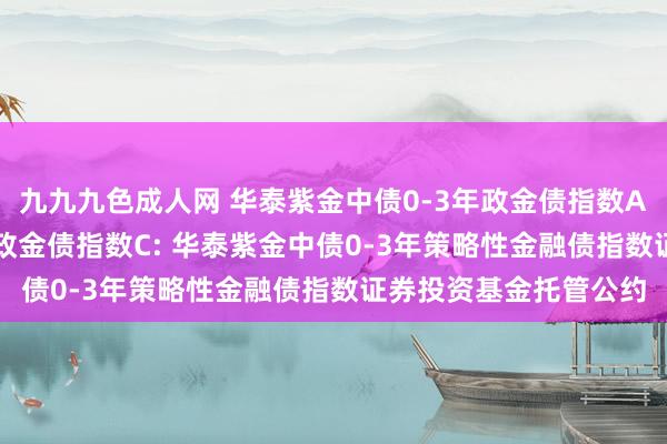 九九九色成人网 华泰紫金中债0-3年政金债指数A，华泰紫金中债0-3年政金债指数C: 华泰紫金中债0-3年策略性金融债指数证券投资基金托管公约