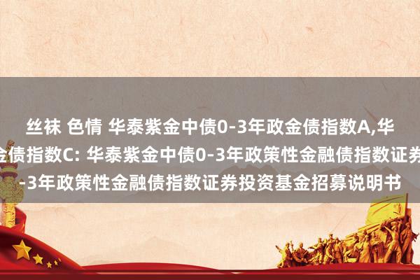 丝袜 色情 华泰紫金中债0-3年政金债指数A，华泰紫金中债0-3年政金债指数C: 华泰紫金中债0-3年政策性金融债指数证券投资基金招募说明书