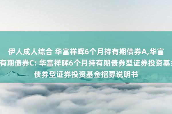 伊人成人综合 华富祥晖6个月持有期债券A，华富祥晖6个月持有期债券C: 华富祥晖6个月持有期债券型证券投资基金招募说明书