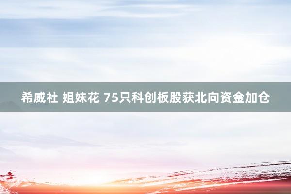 希威社 姐妹花 75只科创板股获北向资金加仓