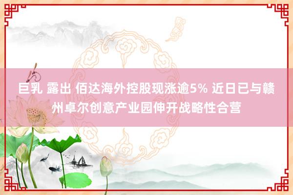 巨乳 露出 佰达海外控股现涨逾5% 近日已与赣州卓尔创意产业园伸开战略性合营