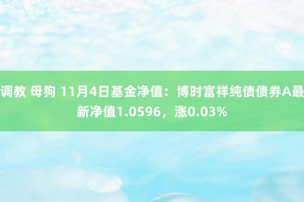 调教 母狗 11月4日基金净值：博时富祥纯债债券A最新净值1.0596，涨0.03%