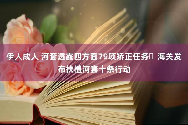 伊人成人 河套透露四方面79项矫正任务 海关发布扶植河套十条行动