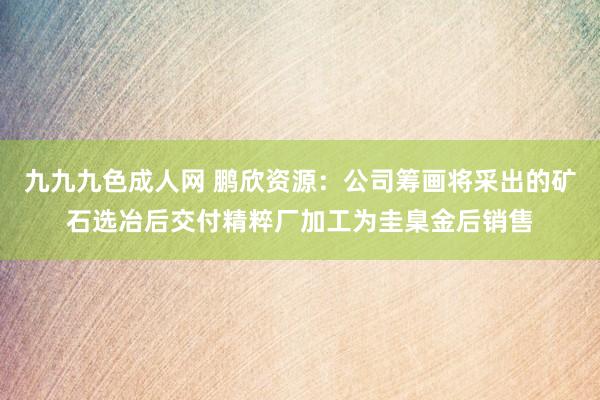 九九九色成人网 鹏欣资源：公司筹画将采出的矿石选冶后交付精粹厂加工为圭臬金后销售