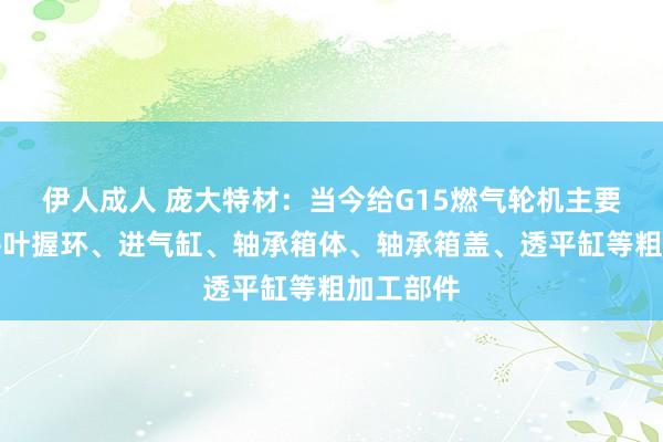 伊人成人 庞大特材：当今给G15燃气轮机主要供应透平叶握环、进气缸、轴承箱体、轴承箱盖、透平缸等粗加工部件