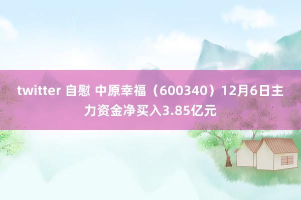 twitter 自慰 中原幸福（600340）12月6日主力资金净买入3.85亿元