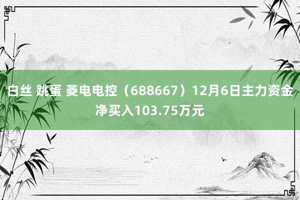 白丝 跳蛋 菱电电控（688667）12月6日主力资金净买入103.75万元